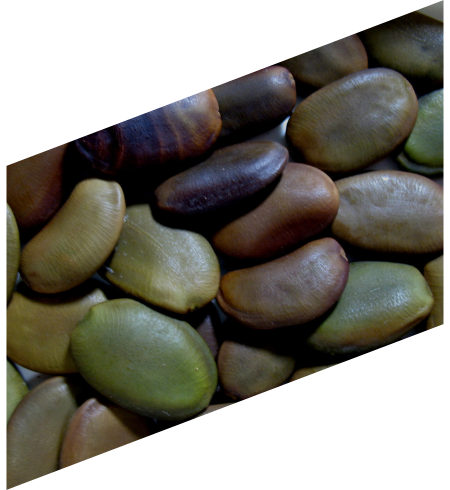 A pile of green and brown peas.