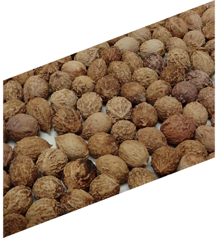 A pile of walnuts on a black background.