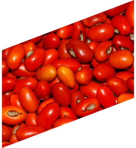 A pile of red chiles on a black background.