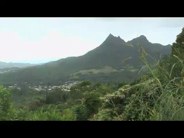 A view of the mountains from a hillside.