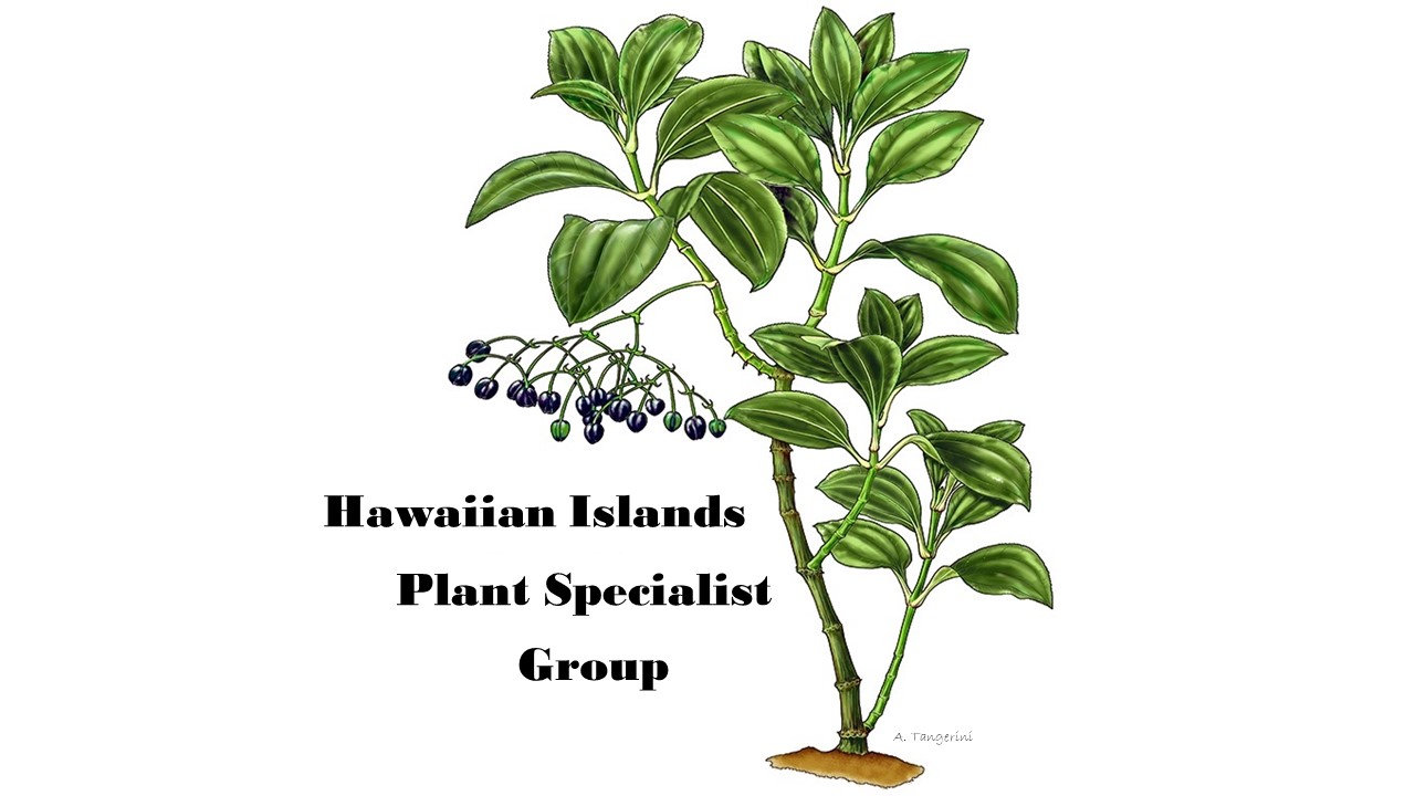 Hawaiian islands plant specialist group.