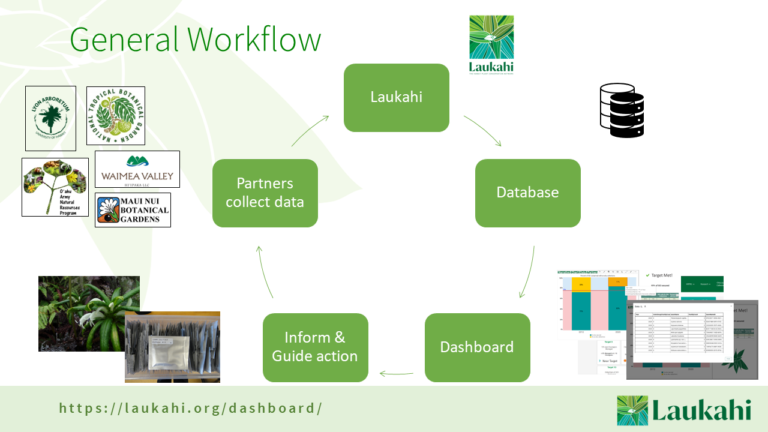 A diagram of a general workflow.