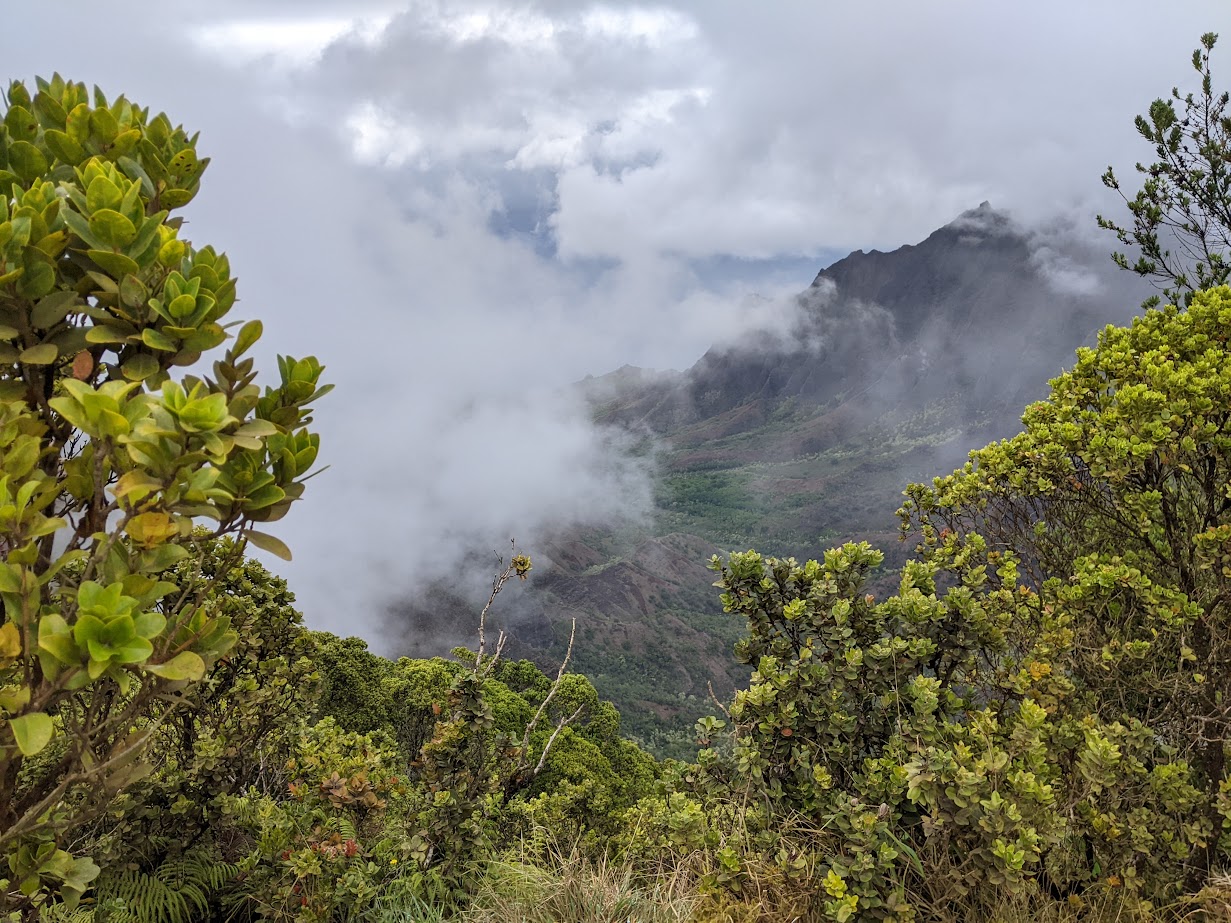 A view of a mountain with trees and clouds in the background.