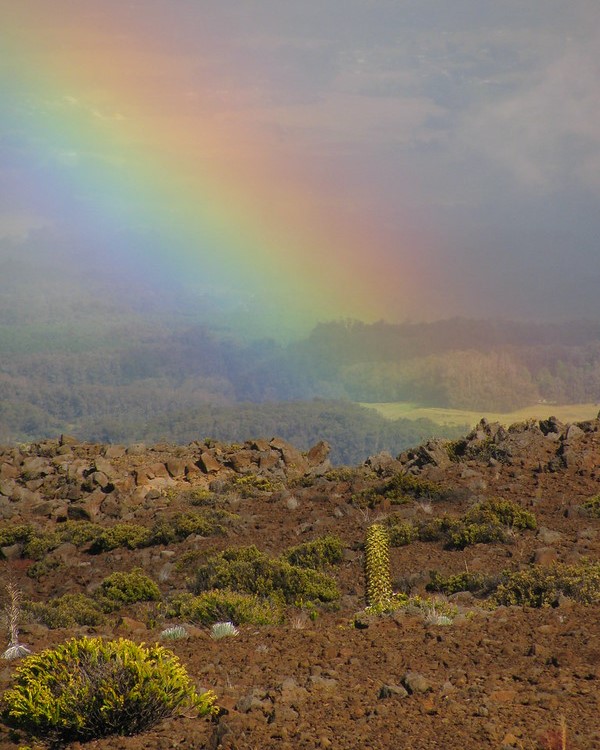 A rainbow is seen over a rocky landscape.