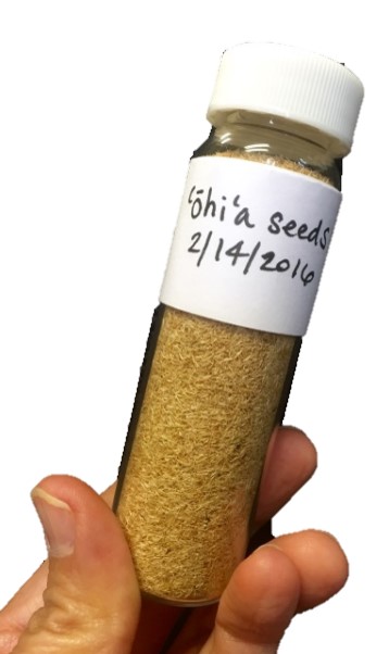 A person holding up a jar of chia seeds.