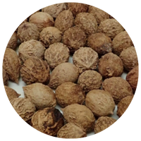 A close-up of a group of tiger nuts.