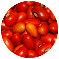A collection of ripe, red tomatoes.