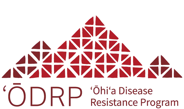 Logo of the 'ōhiʻa disease resistance program (ōdrp), depicting stylized red triangles forming a mountain range.
