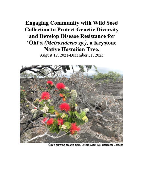 Red ʻōhiʻa flowers bloom on a small tree growing amid lava rocks in a natural outdoor setting.